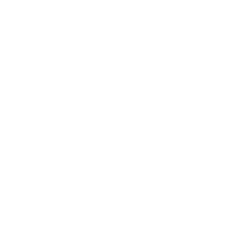 fondazione di vignola